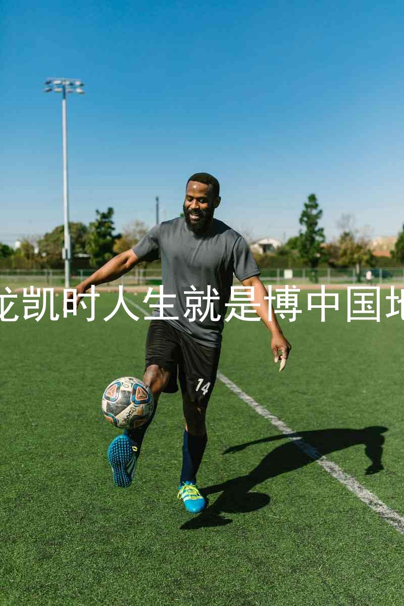 尊龙凯时人生就是博中国地区