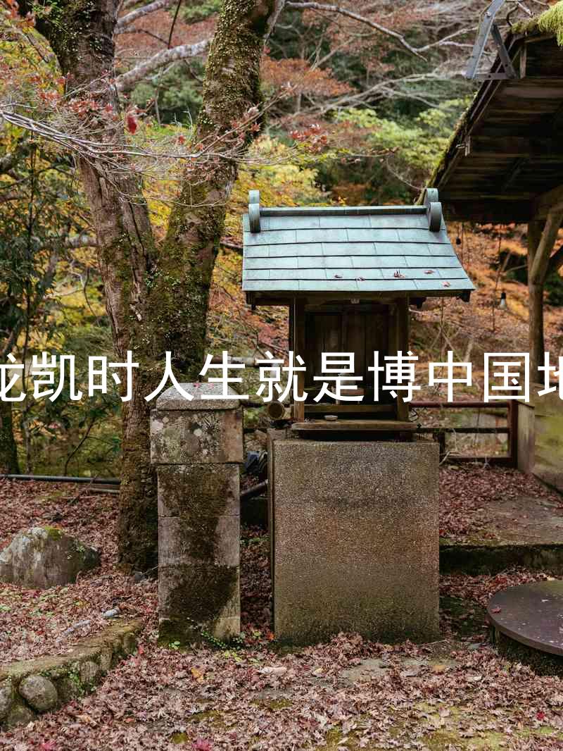 尊龙凯时人生就是博中国地区
