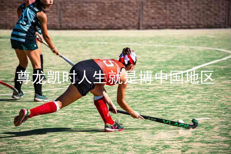 尊龙凯时人生就是博中国地区