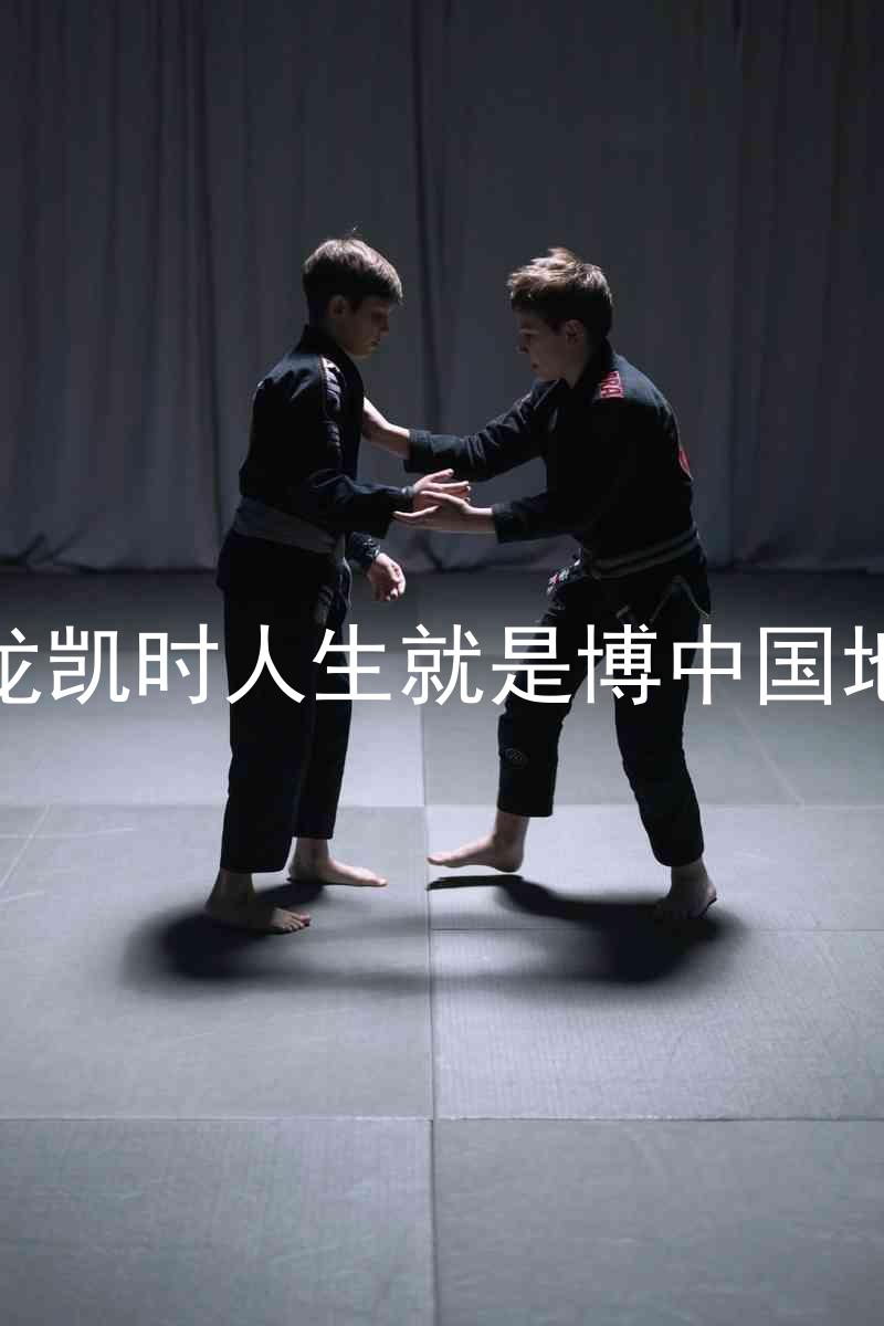 尊龙凯时人生就是博中国地区